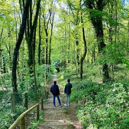La Feuillée, Charmante Maison Au Bois De Cise Casa vacanze