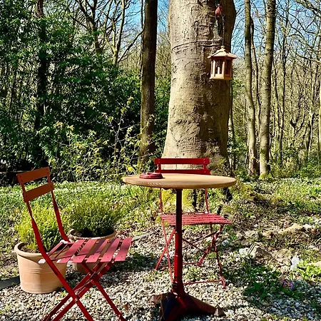 La Feuillee, Charmante Maison Au Bois De Cise * 얼트