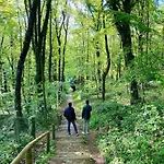 La Feuillee, Charmante Maison Au Bois De Cise Semesterbostad