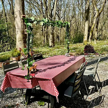 La Feuillee, Charmante Maison Au Bois De Cise